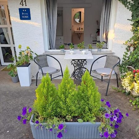 Soba Dvori Lägenhet Zaprešić Exteriör bild